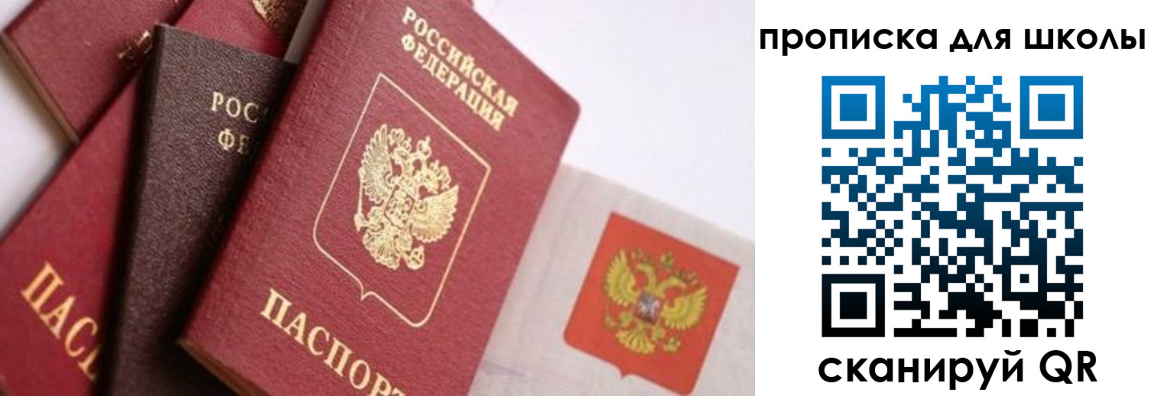 прописка поиск в Ясногорске